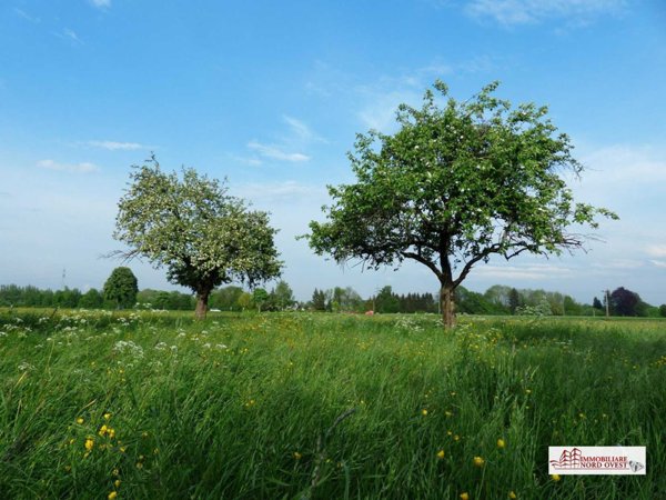 terreno agricolo in vendita a Corbetta in zona Soriano