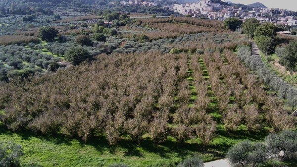 terreno agricolo in vendita a Corbetta in zona Soriano