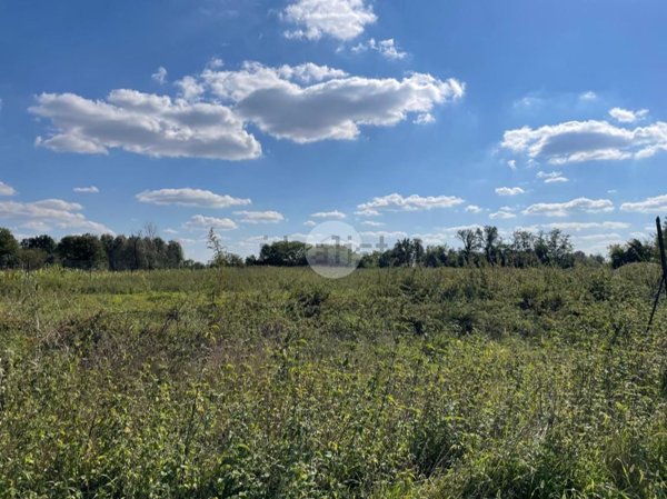 negozio in vendita a Corbetta