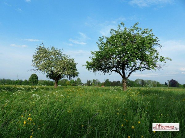 terreno agricolo in vendita a Corbetta in zona Soriano