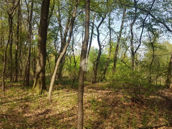 terreno agricolo in vendita a Corbetta