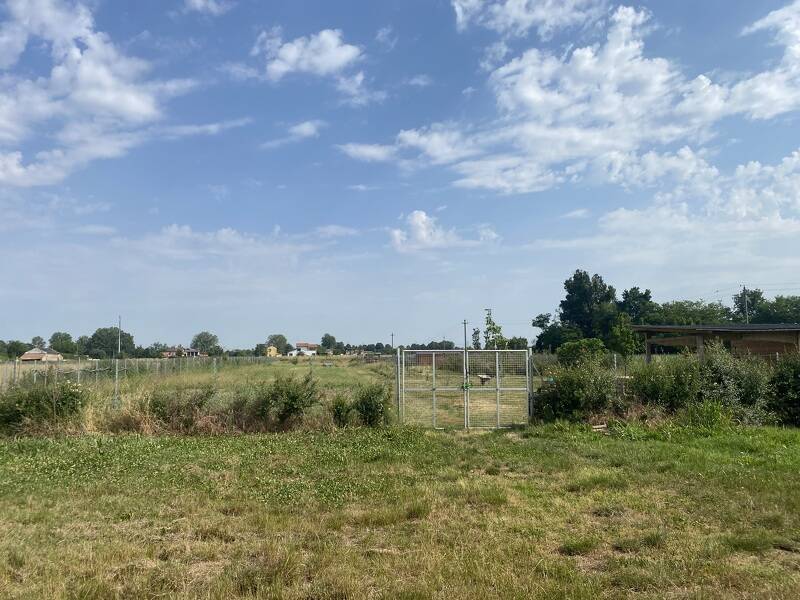 terreno agricolo in vendita a Corbetta in zona Battuello