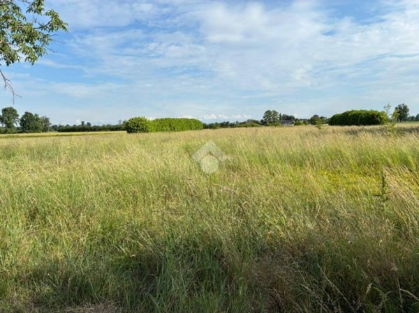 terreno agricolo in vendita a Corbetta in zona Battuello
