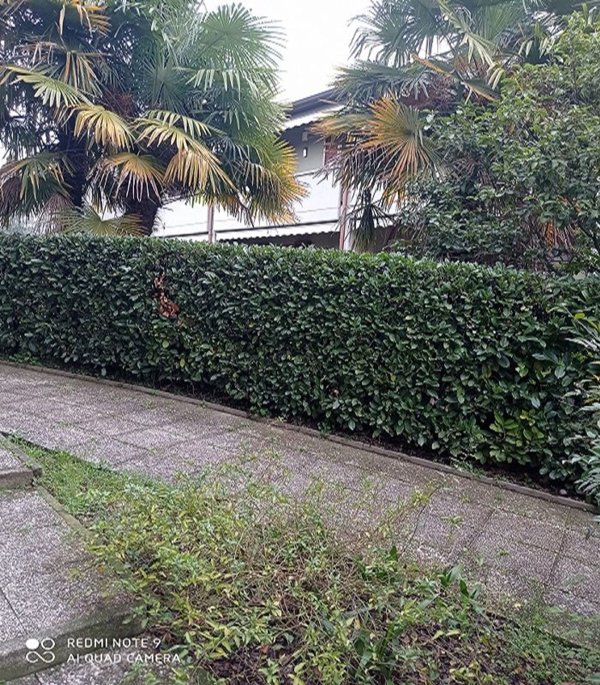 casa indipendente in vendita a Cormano in zona Brusuglio