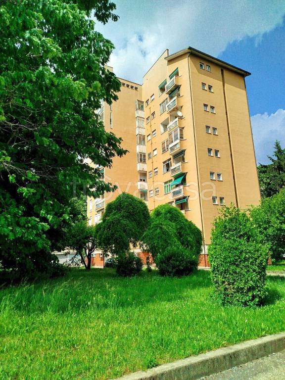 appartamento in vendita a Cormano