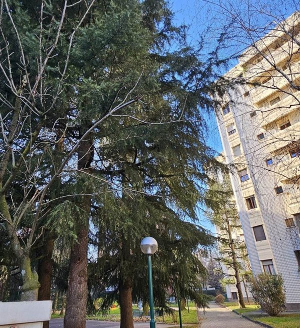 appartamento in vendita a Corsico