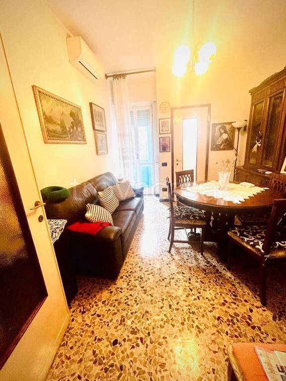 immagine annuncio 0 di 15