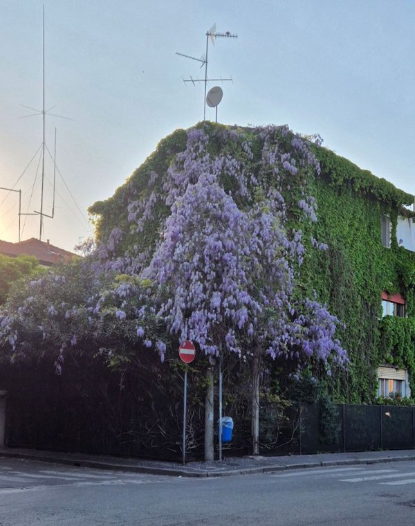 appartamento in vendita a Corsico