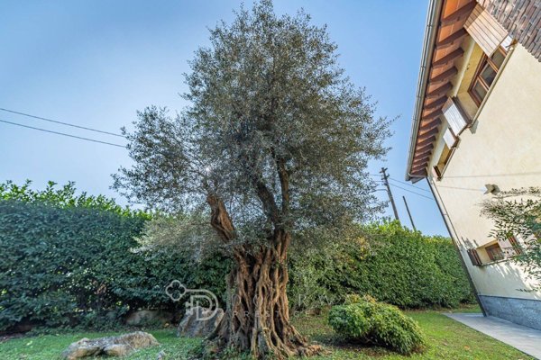 casa indipendente in vendita a Corsico