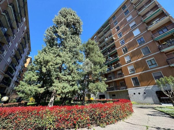 appartamento in vendita a Corsico