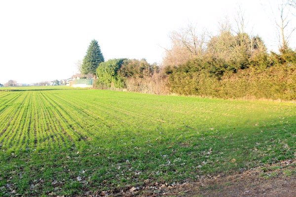 terreno edificabile in vendita a Cuggiono
