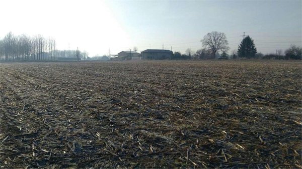terreno agricolo in vendita a Cuggiono in zona Castelletto di Cuggiono