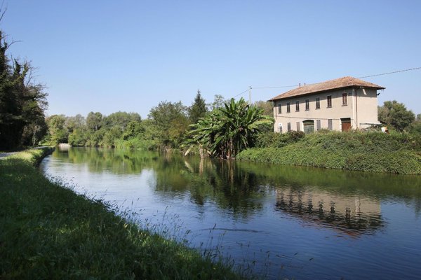 esavano in vendita a Cuggiono in zona Castelletto di Cuggiono