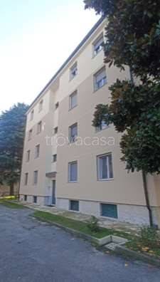 appartamento in vendita a Cusano Milanino