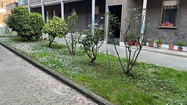 appartamento in vendita a Cusano Milanino