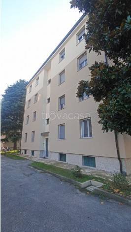 appartamento in vendita a Cusano Milanino