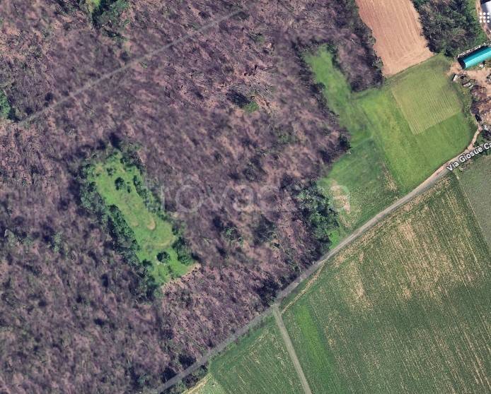 terreno agricolo in vendita a Dairago