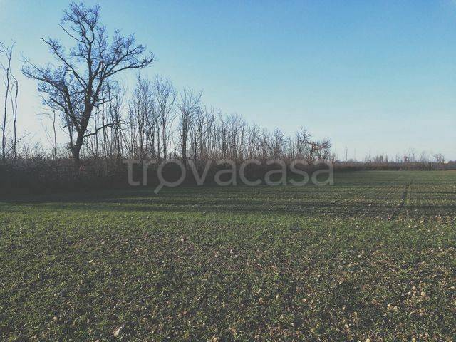 appartamento in vendita a Dairago