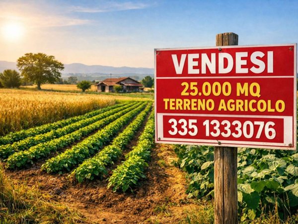 ufficio in vendita a Dairago