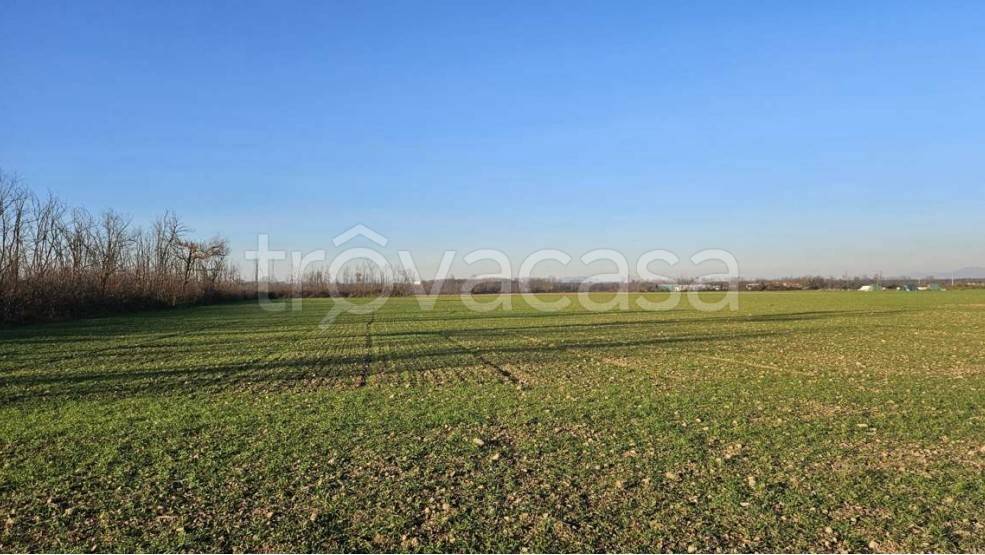 appartamento in vendita a Dairago