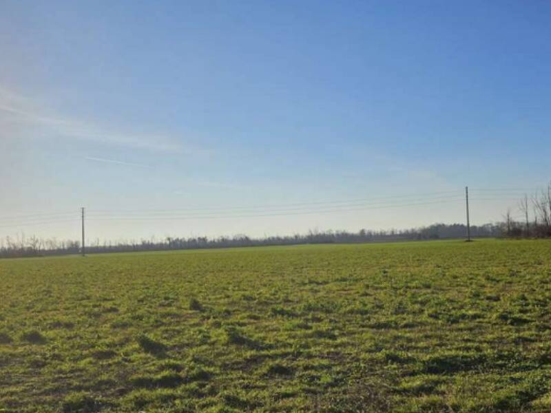 terreno agricolo in vendita a Dairago