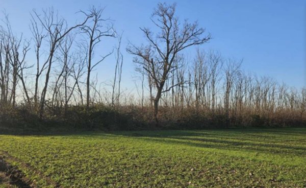 terreno agricolo in vendita a Dairago