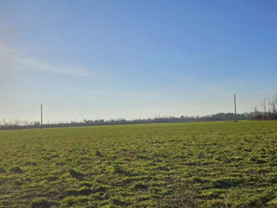 terreno agricolo in vendita a Dairago
