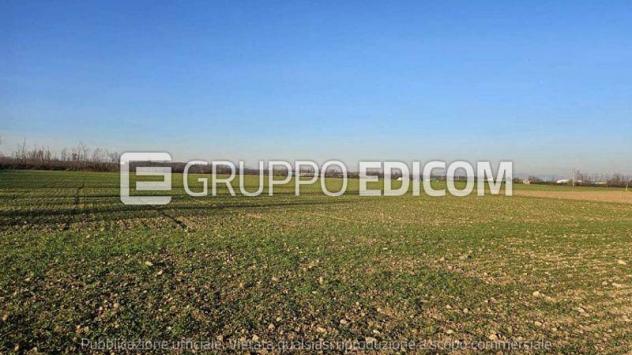 terreno agricolo in vendita a Dairago