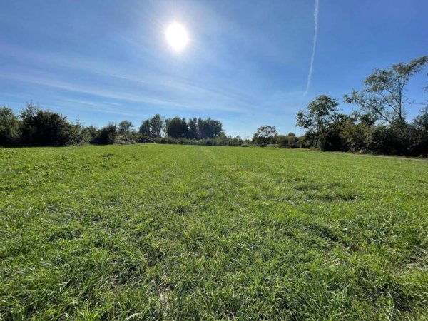 terreno agricolo in vendita a Gaggiano in zona San Vito