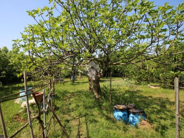 terreno agricolo in vendita a Garbagnate Milanese