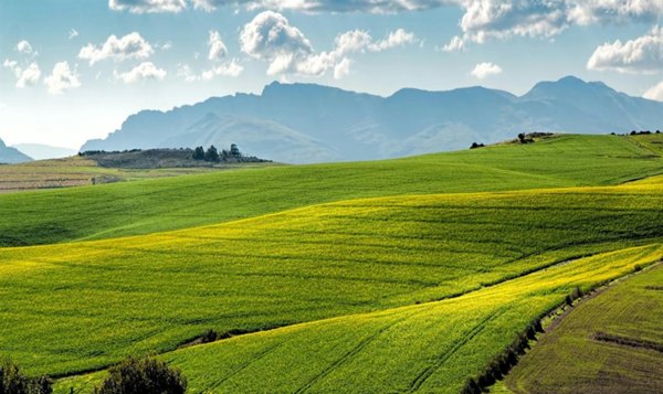 terreno agricolo in vendita a Gessate