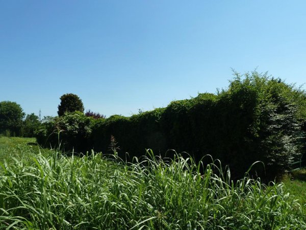 terreno agricolo in vendita a Gorgonzola