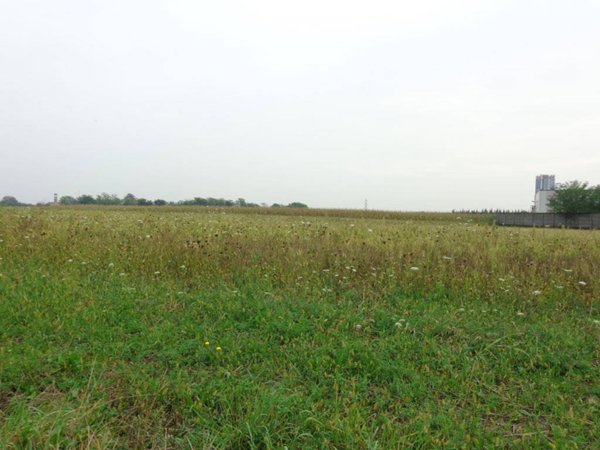 terreno edificabile in vendita a Grezzago