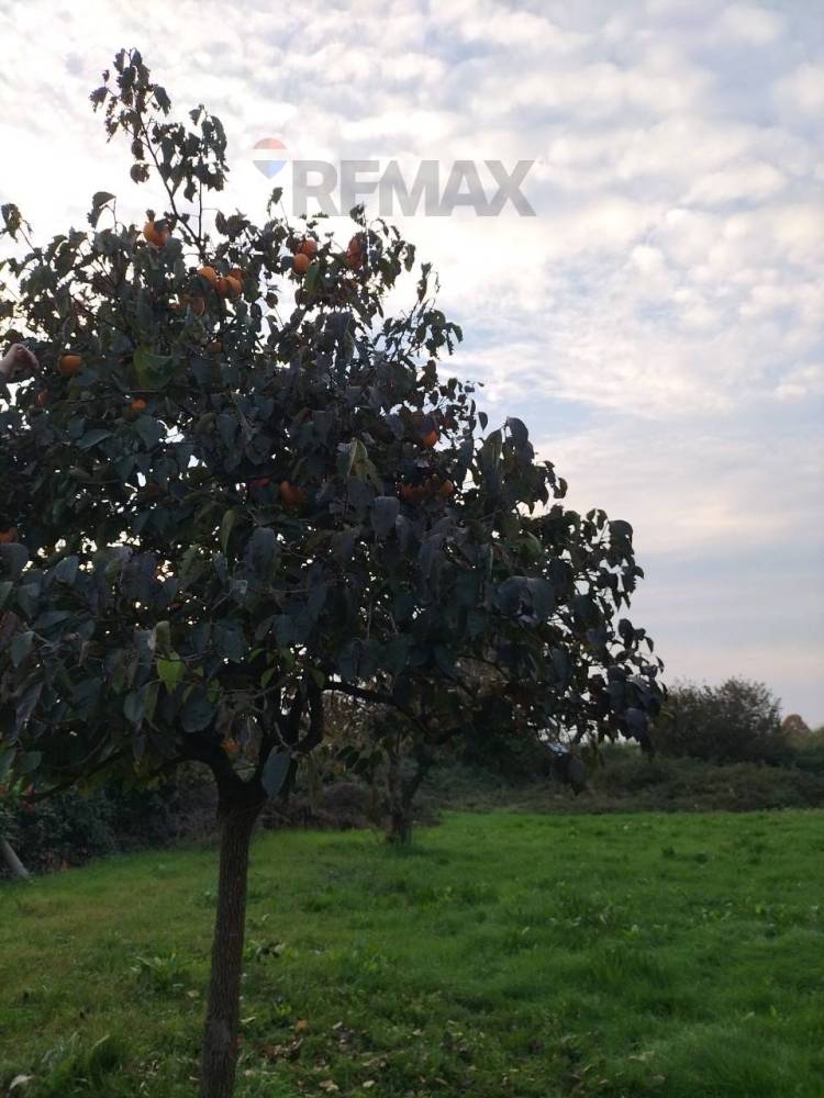 negozio in vendita a Grezzago