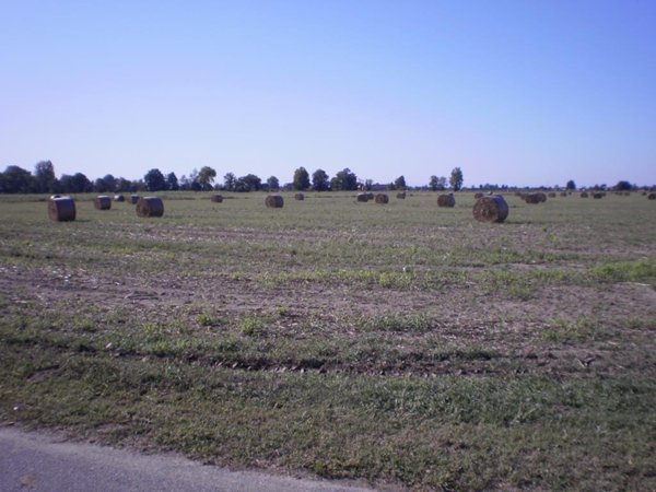 terreno agricolo in vendita ad Inveruno