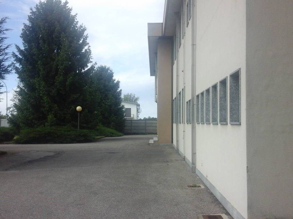 immagine annuncio 0 di 5
