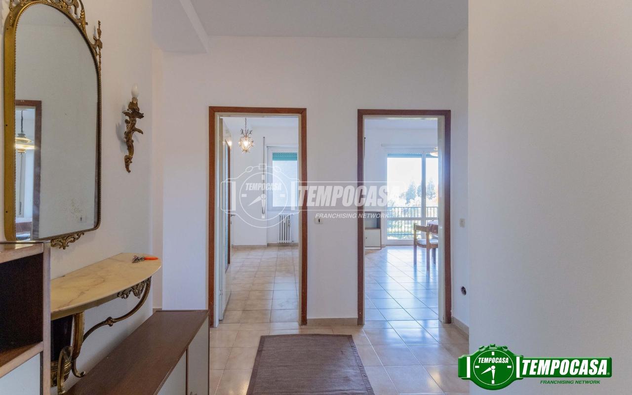 immagine annuncio 0 di 15