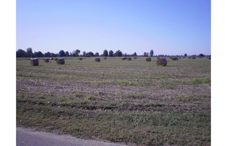 terreno agricolo in vendita ad Inveruno