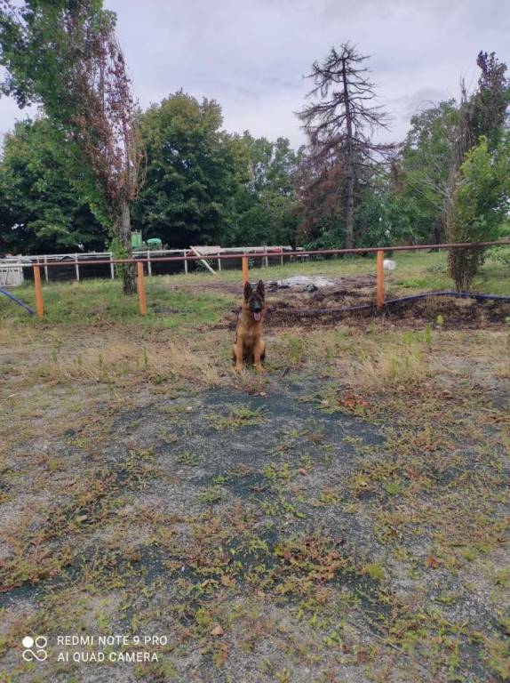 negozio in vendita ad Inzago