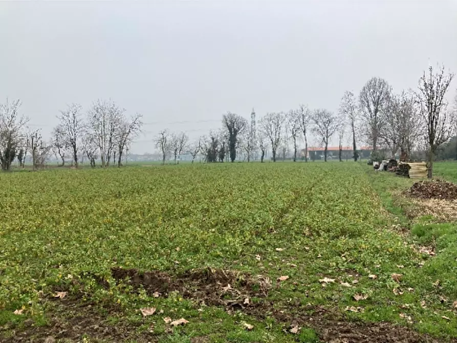 terreno agricolo in vendita ad Inzago
