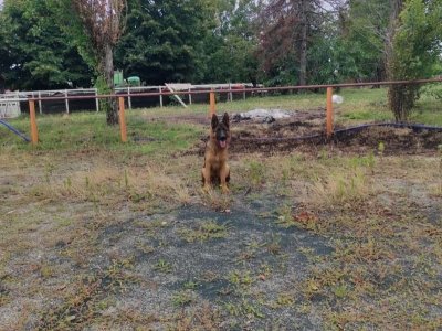 terreno agricolo in vendita ad Inzago