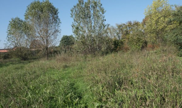 terreno edificabile in vendita ad Inzago