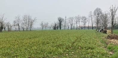 casa indipendente in vendita ad Inzago