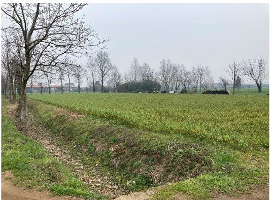terreno agricolo in vendita ad Inzago