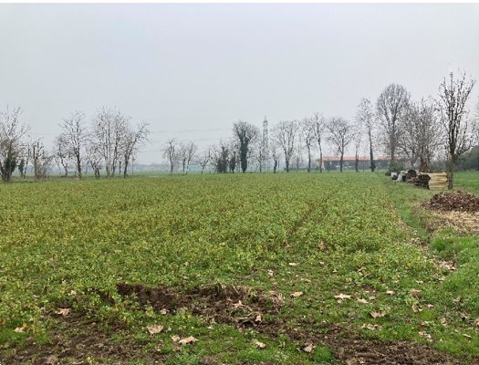 terreno agricolo in vendita ad Inzago