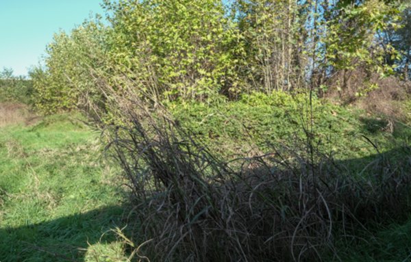 terreno edificabile in vendita ad Inzago