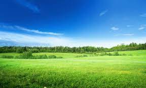 terreno agricolo in vendita a Lainate
