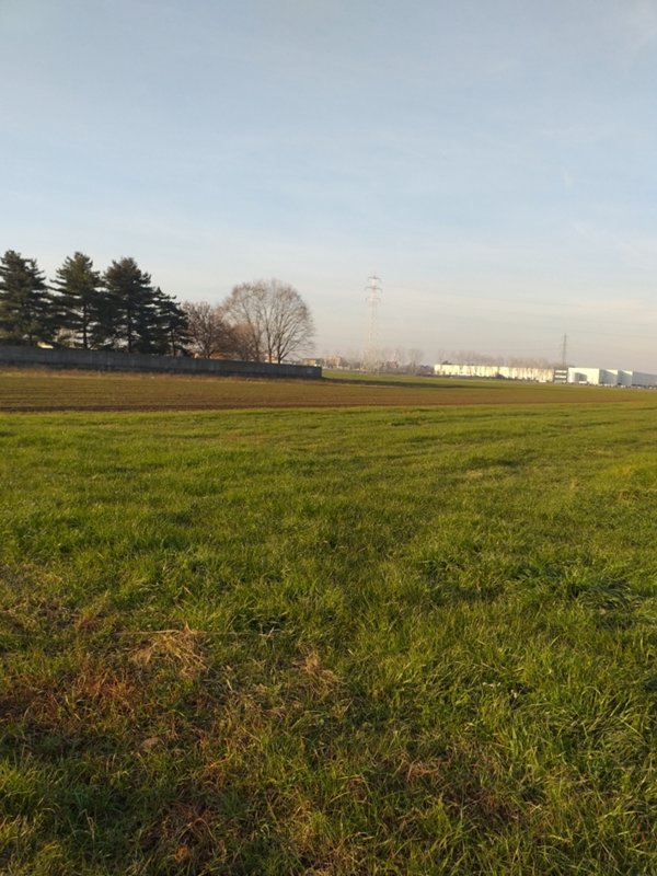 terreno agricolo in vendita a Lainate
