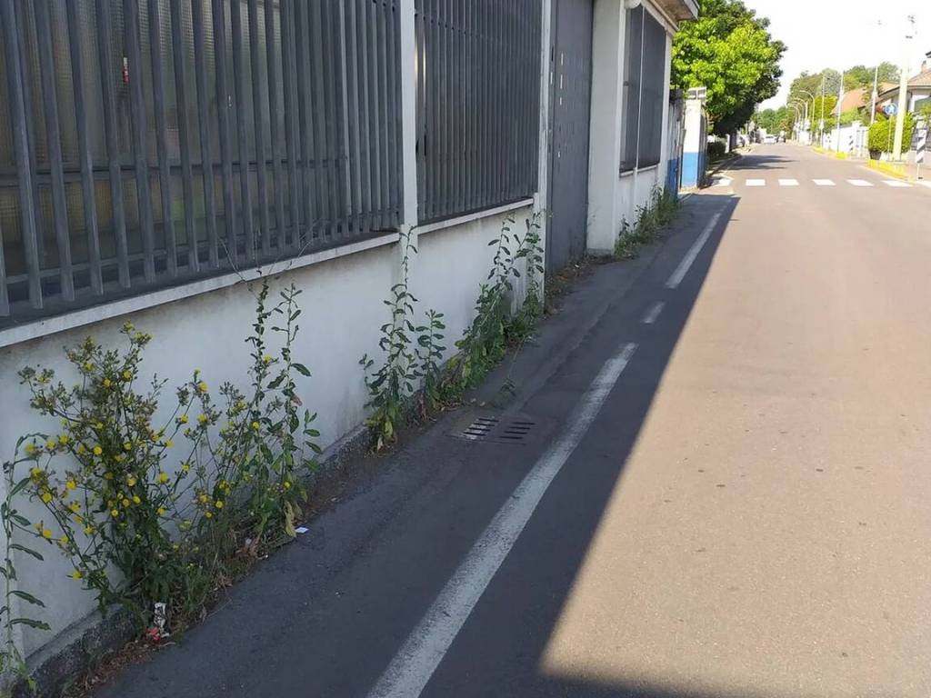 locale commerciale in vendita a Lainate