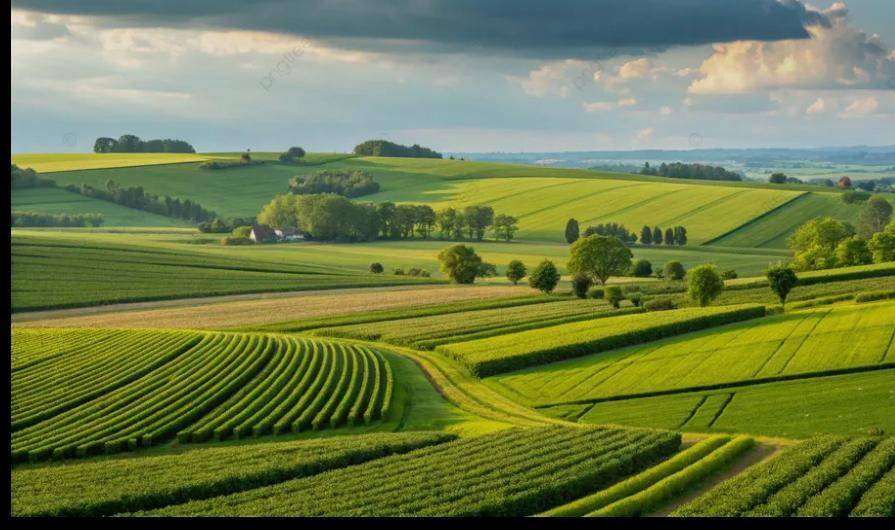 terreno agricolo in vendita a Lainate